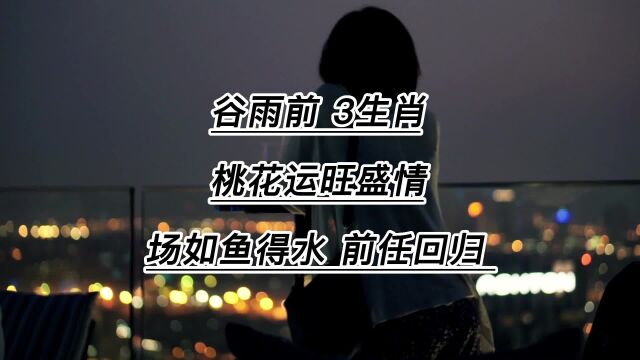 谷雨前,3大生肖桃花运旺盛,情场如鱼得水,前任回归,幸福相伴