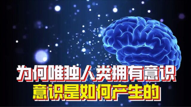 万物皆由基本粒子组成,唯独人拥有意识,意识是如何产生的?