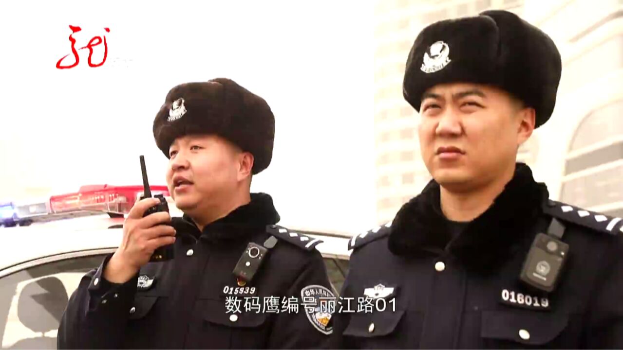 冰城警事:派出所的出警故事