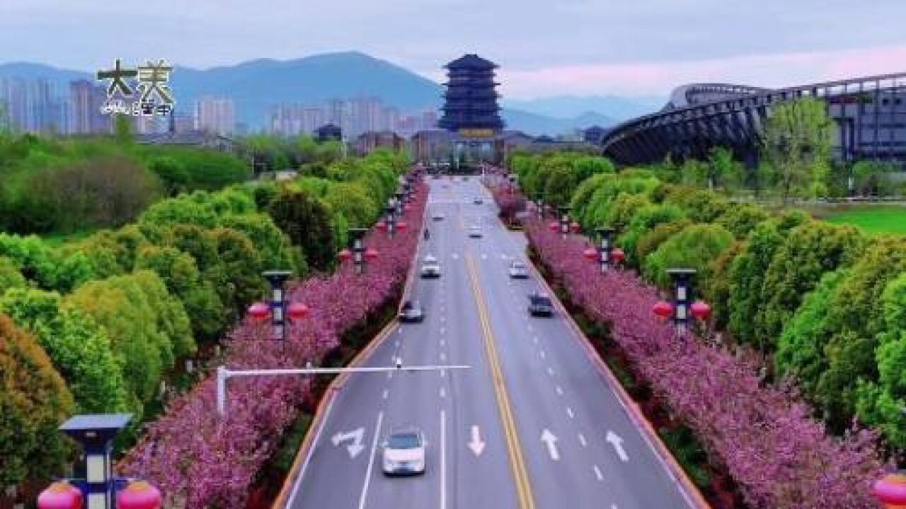 【大美汉中】春雨随风润大地,航拍带你看这春日美景