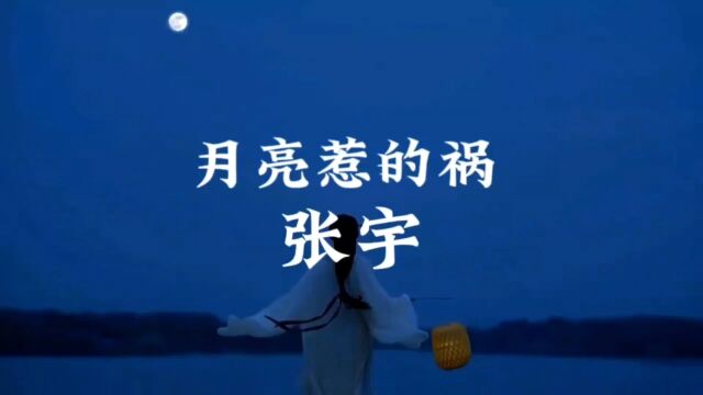 一首老歌,但很好听.那夜月亮普照大帝,而你在我的怀里.《月亮惹的祸》张宇.