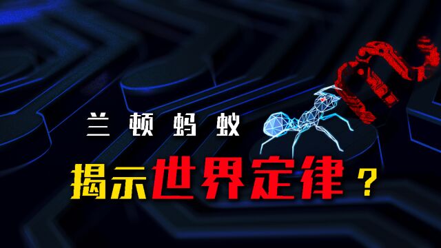 揭示「世界定律」的兰顿蚂蚁是什么?