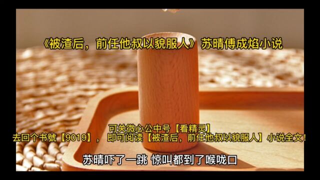 《被渣后,前任他叔以貌服人》苏晴傅成焰已完结