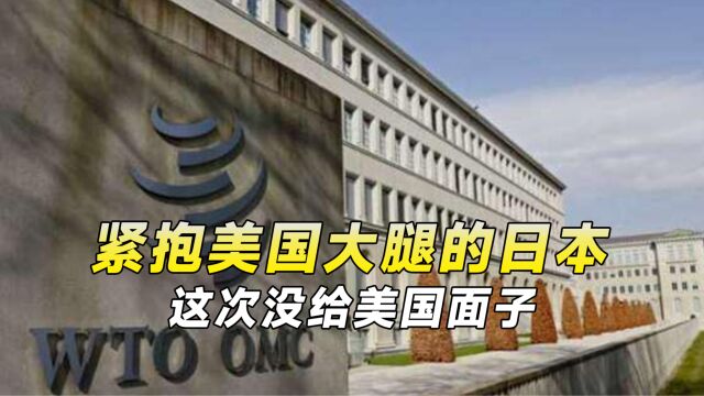 中国和20国建新群,没有美国,日本表态想加入,中方积极欢迎