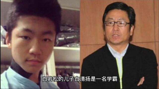 白岩松儿子考入伦敦国王学院,最后选了蒙古史专业,为什么?