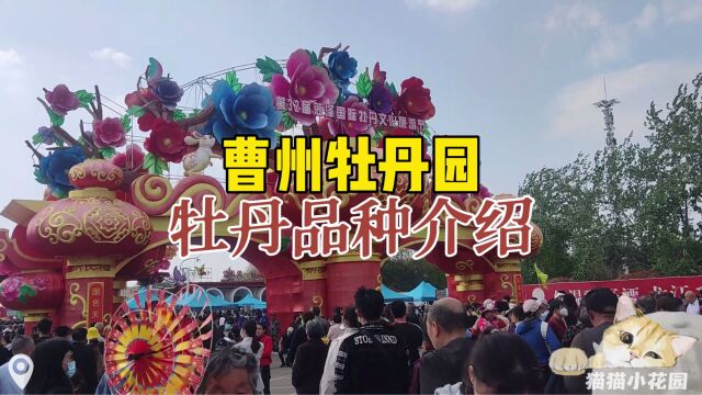 【猫猫小花园】菏泽曹州牡丹园 品种介绍