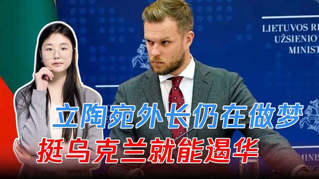 法欧与中方达成一致,立陶宛外长仍在做梦:挺乌克兰就能遏华