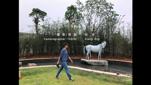 【向京纪录】马归栏山 | 湖南广电《异境——这个世界会好吗?》雕塑安装