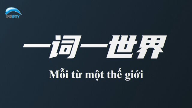 第一届全国学生(青年)运动会:逐梦新时代 青春更精彩