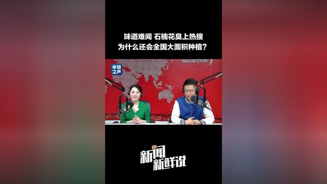 石楠花这么臭,为啥还要种?,石楠花优点不少,不娇气好养活,还能净化空气,有药用价值.