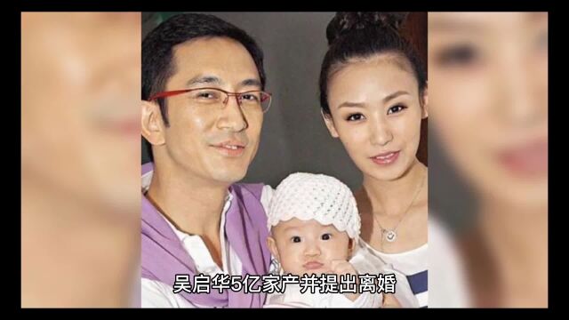 吴启华娶21岁的石洋子,石洋子很快花光吴启华5亿家产并提出离婚