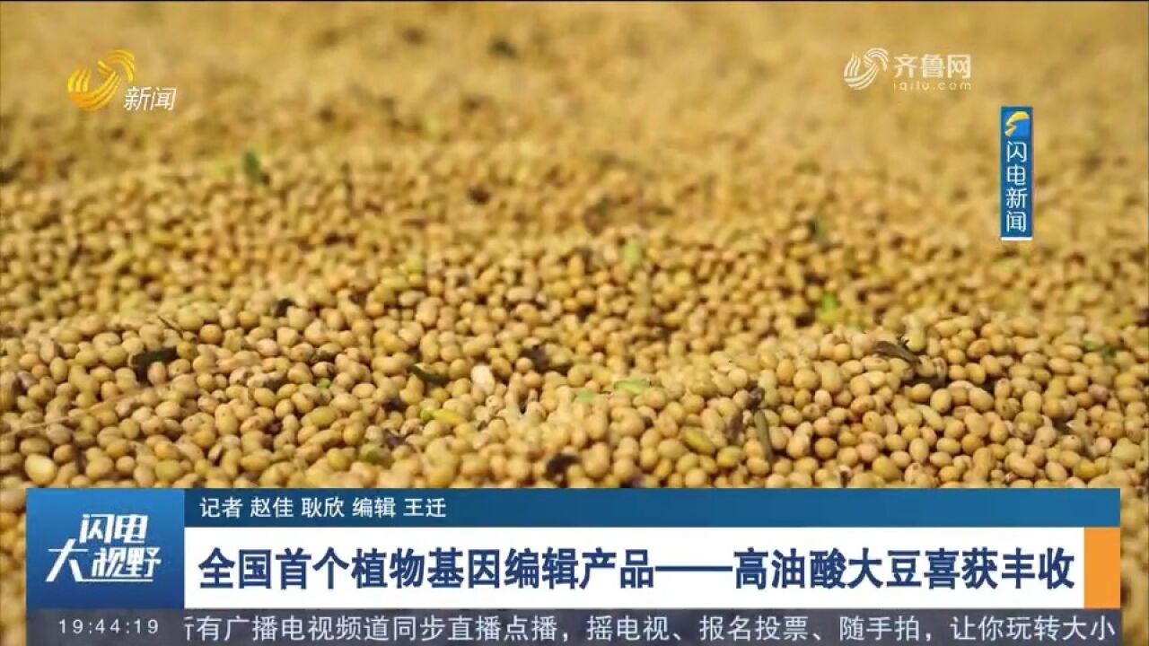 好消息!全国首个植物基因编辑产品——高油酸大豆喜获丰收