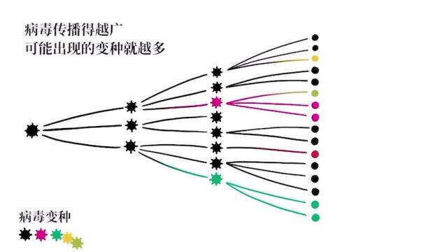 5病毒传播及变种知识