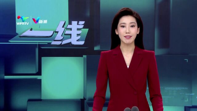 乡村振兴“葱”在前 “小葱苗”培育成“大产业”