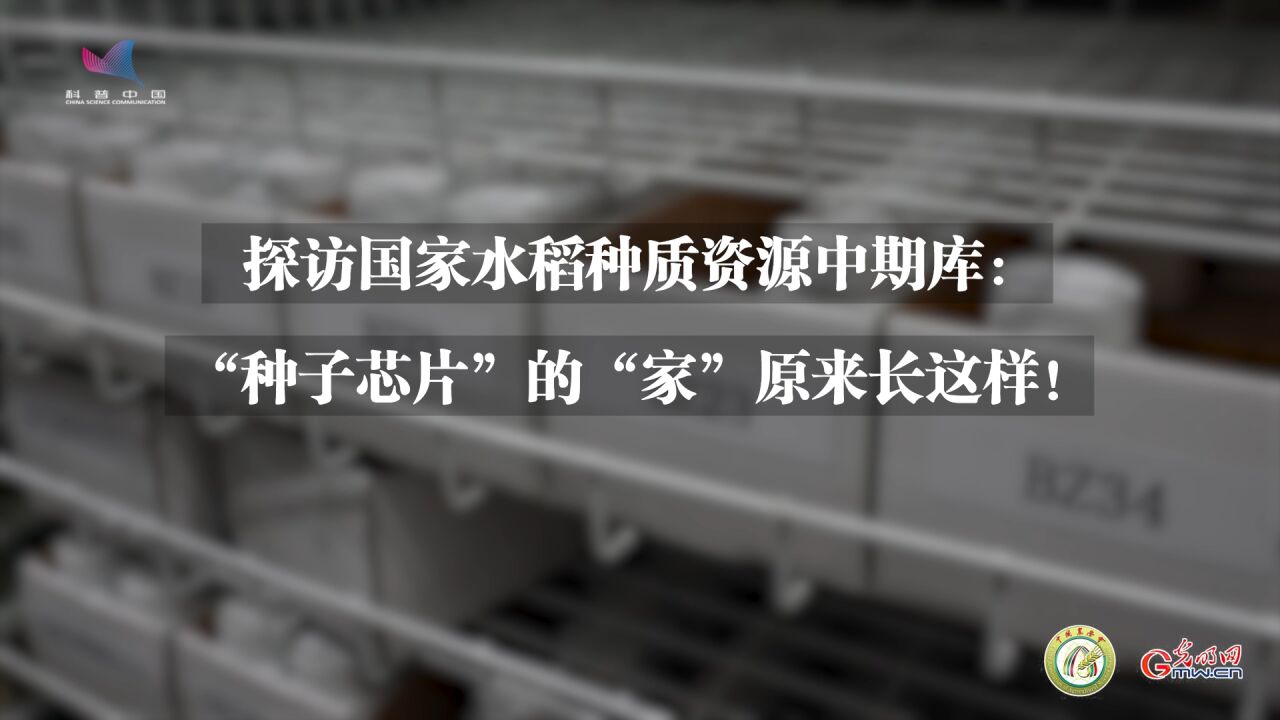 探访国家水稻种质资源中期库:“种子芯片”的“家”原来长这样!