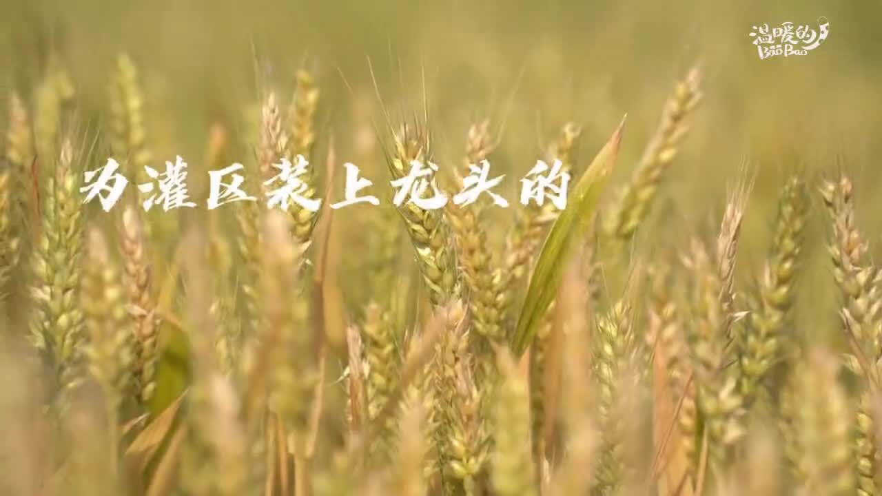 中青教育|灌区的“最强大脑”