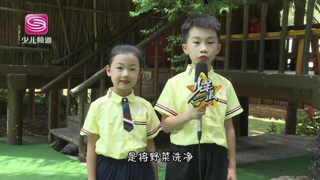 深圳电视台少儿频道《少年派》栏目 | 第10期“黎族(下)”