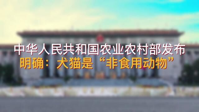 农业农村部:犬猫是“非食用动物”#善待动物关爱生命 #呼吁动物保护法立法 #每个生命都值得被善待 #传递正能量让世界充满爱