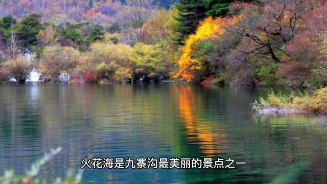 九寨沟火花海:大自然的鬼斧神工,让你流连忘返!