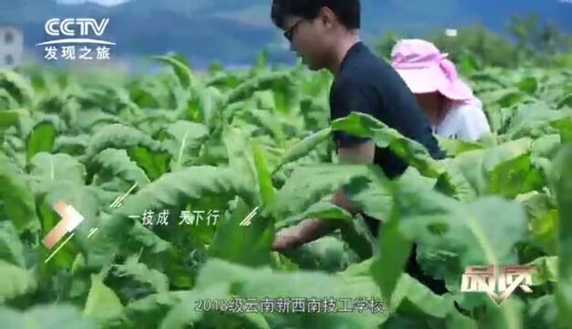 CCTV央视上榜品牌学校——云南新西南技工学校