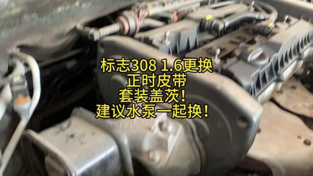 标志308 1.6更换正时皮带套装盖茨! #修车 #正时皮带套装更换 #盖茨 #威海经区