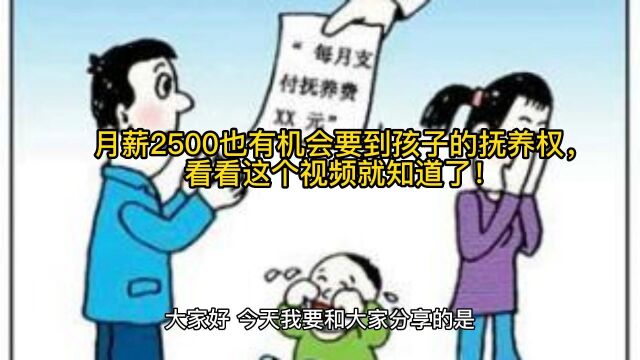 月薪2500也有机会要到孩子的抚养权,看看这个视频就知道了!