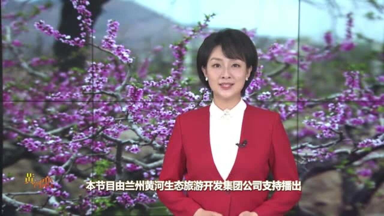 【文旅频道黄河恋】相约安宁 探秘桃花节幕后(上)