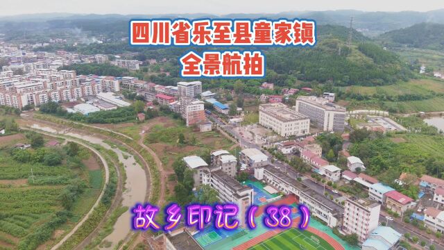 四川省乐至县第一大镇第一经济强镇:故乡印记(38)