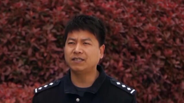 信用卡非法套现,警方经过侦查,打掉“百亿”团伙