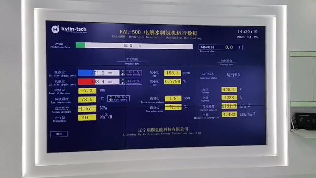 8000电密+20秒全功率响应!多家能源央企、国际巨头见证瑞麟科技创新碱槽6大绝技