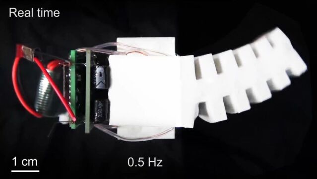 浙大邹俊教授团队《自然ⷩ€š讯》:可自我保护的电流体驱动软体机器人
