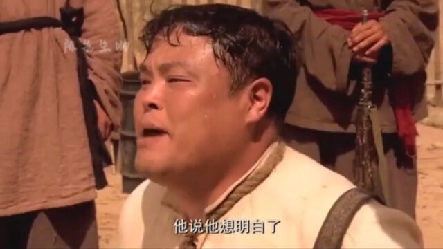 翻译官的故事?