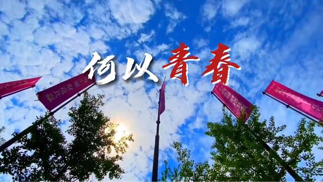 青年节特别策划ⷮŠ视频|何以青春