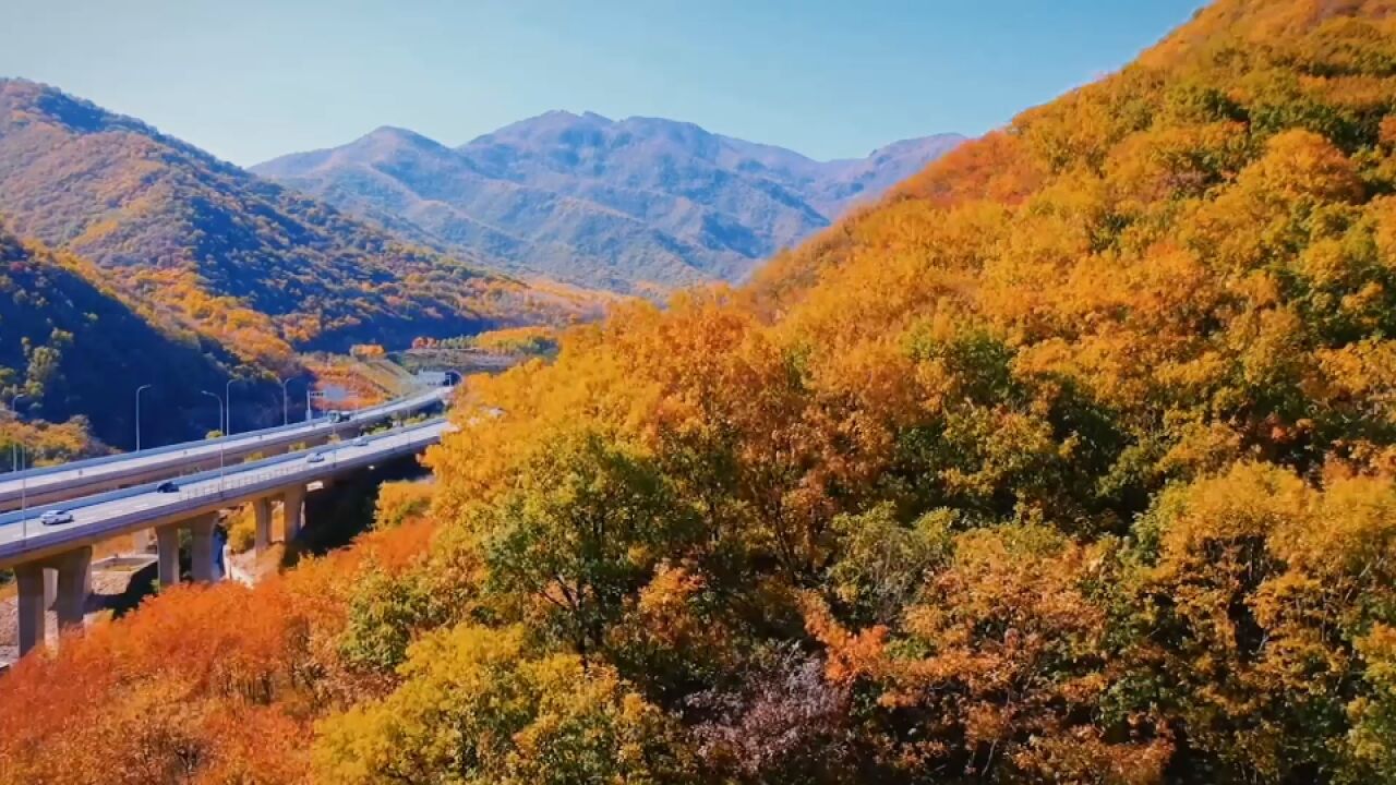 航拍北京延庆秋日胜景:公路蜿蜒,层林尽染