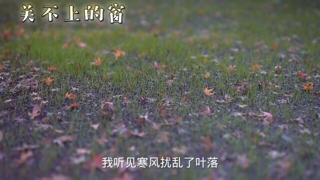 8090后经典歌曲