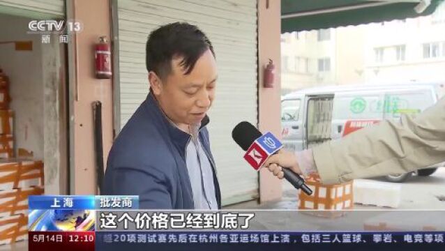 各地农副产品陆续上市 丰富市民“菜篮子”