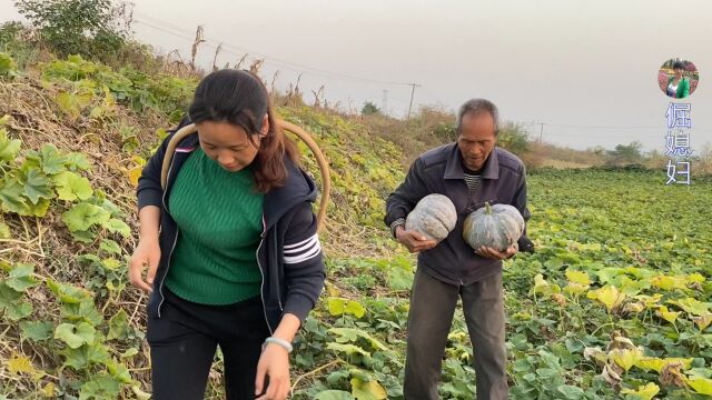 倔媳妇去看二姐,爹娘拿甜面瓜冬瓜婆婆拿笨红薯,各种特产塞满车