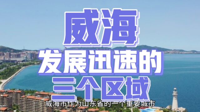 威海市的环翠区、文登区和乳山市,近年来发展迅速,引发广泛关注