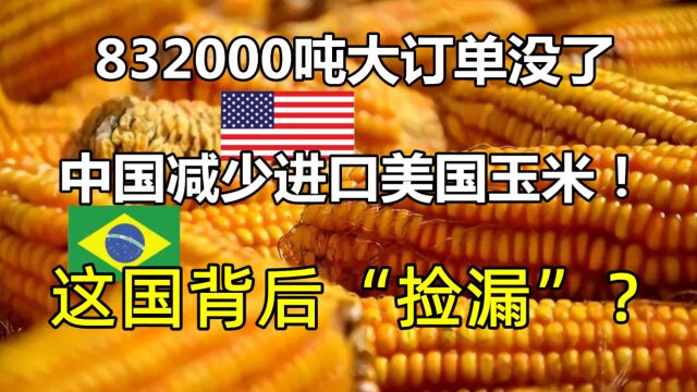 832000吨大订单没了,中国减少进口美国玉米!这国背后“捡漏”?