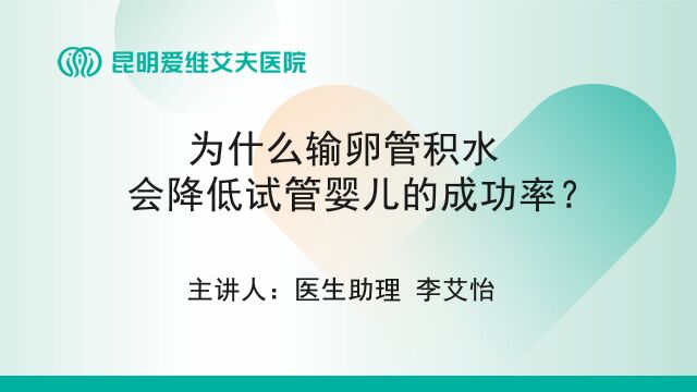 昆明爱维艾夫试管婴儿医院:为什么输卵管积水会降低试管婴儿的成功率?