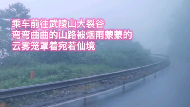 乘车前往武陵山大裂谷,弯弯曲曲的山路被烟雨蒙蒙的云雾笼罩着宛若仙境.