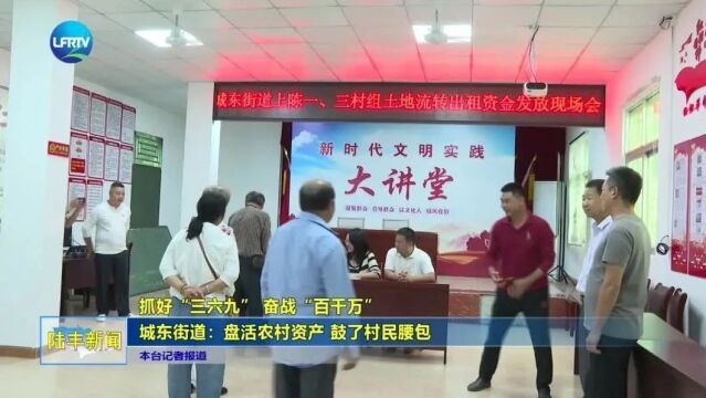 【抓好“三六九” 奋战“百千万”】城东街道:盘活农村资产 鼓了村民腰包