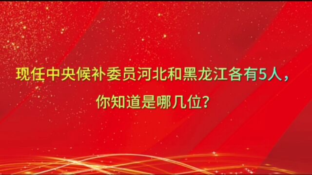 现任中央候补委员河北和黑龙江各有5人,你知道是哪几位?