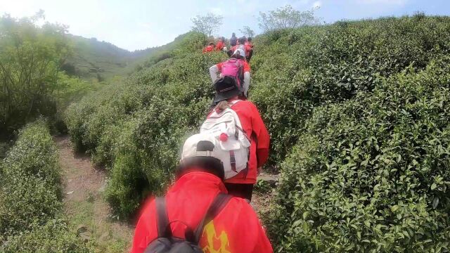 上海户外运动附近的驴友群有效锻炼蜜桃臀 旅游健身 潘岙村古道9上海快乐徒步爬山户外