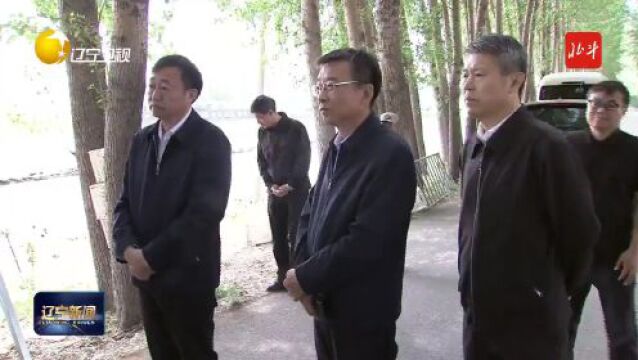 李乐成在沈阳市辽中区调研春耕工作