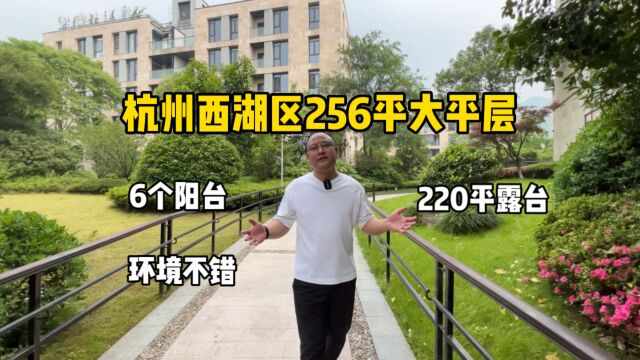 杭州西湖区256平大平层,带6个阳台、环境不错,部分露台600万!