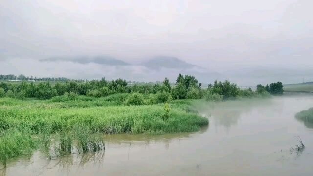 绪刚说事:雨后涝河仙境——西安市鄠邑区涝河湿地实拍