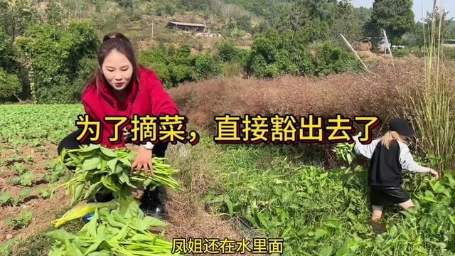 (上集)农场空心菜长得太好,雯雪和凤姐为了摘菜直接豁出去了. #三农故事