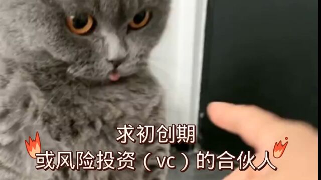 求初创期或风险投资(vc)的合伙人