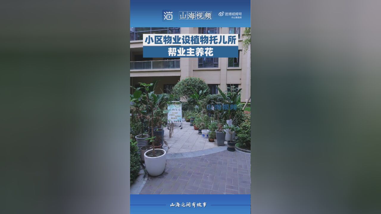 小区物业设植物托儿所帮业主养花